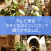 【NEWS】テレビ大阪「やすとものどこいこ！？」で紹介されました〈なんば店〉