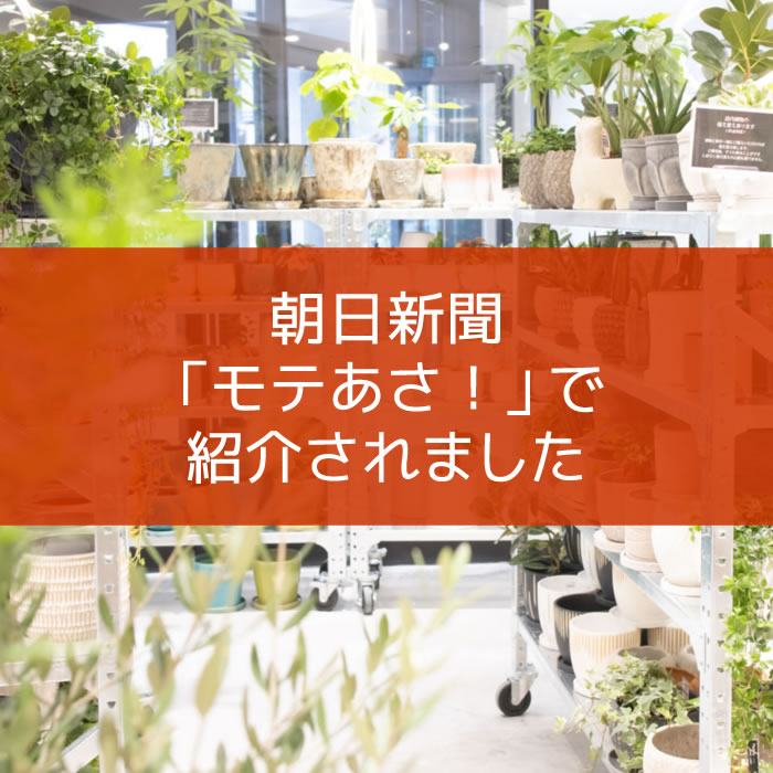 【NEWS】朝日新聞「モテあさ！」で紹介されました〈梅田店〉