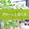 【NEWS】グリーンと暮らす〈直営店共通〉