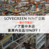 【特別企画】倉庫内全品10％OFF〈ノア豊中本店〉