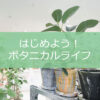 【NEWS】はじめよう！ボタニカルライフ〈直営店共通〉