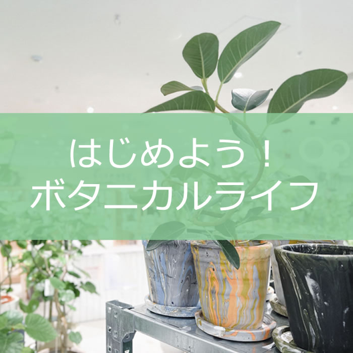 【NEWS】はじめよう!ボタニカルライフ〈直営店共通〉