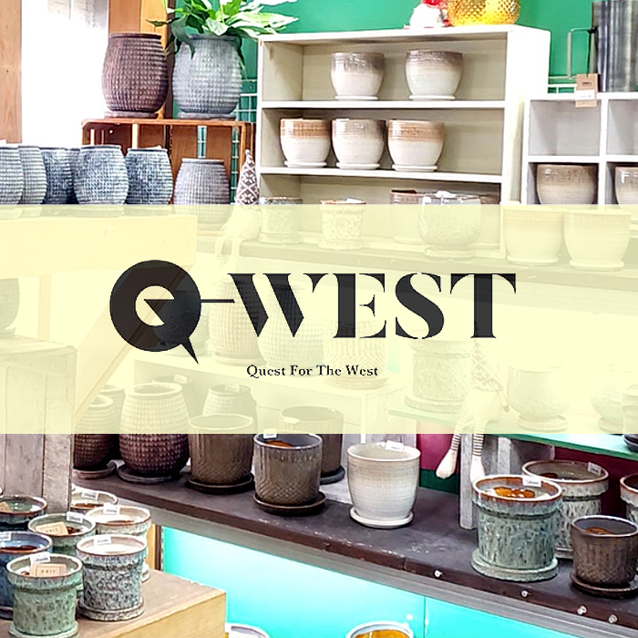 【NEWS】Q-WEST で紹介されました〈ノア豊中本店〉