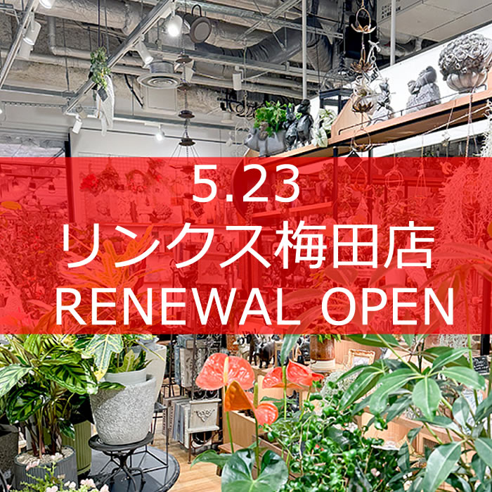 【NEWS】移転リニューアルオープンしました!〈梅田店〉