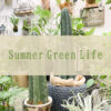 【NEWS】Summer Green Life〈直営店共通〉