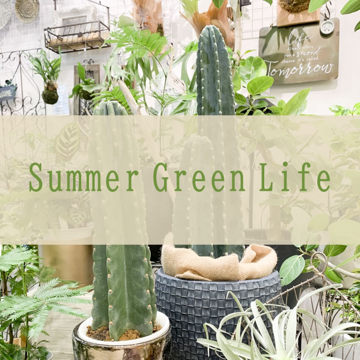 【NEWS】Summer Green Life〈直営店共通〉