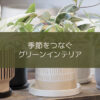 【NEWS】季節をつなぐグリーンインテリア〈直営店共通〉