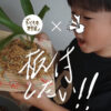 【親子ﾜｰｸｼｮｯﾌﾟ】ビカクモノさんの板付けしたい！！予約受付中！！〈梅田店〉