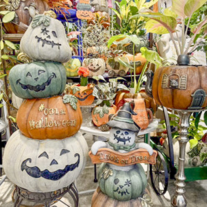 【NEWS】置くだけで華やぐ♪ 人気のハロウィン雑貨が入荷しました〈直営店共通〉