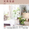 【NEWS】観葉植物のある心地よい暮らし。天然生活WEBでRIKAが語る『鉢を選ぶ文化』