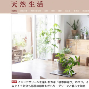 【NEWS】観葉植物のある心地よい暮らし。天然生活WEBでRIKAが語る『鉢を選ぶ文化』
