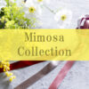 【NEWS】Mimosa Collection〈直営店共通〉