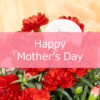 【MOTHER’S DAY 2026】ありがとうをお花に込めて〈直営店共通〉