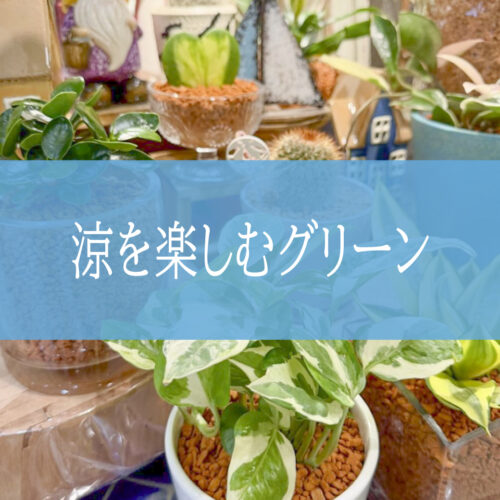 【NEWS】涼しさを飾るセラミスグリーン〈直営店共通〉