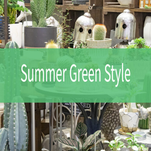 【NEWS】Summer Green Style 夏の景色をつくる、サボテンのある暮らし〈直営店共通〉