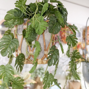 ラタンと植物でつくる涼しいインテリア〈直営店共通〉