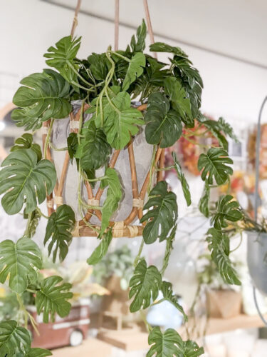 ラタンと植物でつくる涼しいインテリア〈直営店共通〉