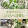 【NEWS】フェイクグリーンのある暮らし☆夏の景色を涼やかに〈直営店共通〉