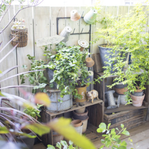 【Garden Story掲載】植物と雑貨でつくる、私のためのベランダガーデン