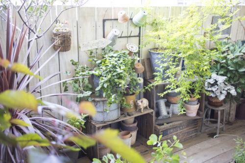 【Garden Story掲載】植物と雑貨でつくる、私のためのベランダガーデン