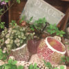 モザイクガラスで植物をかわいく〈西宮店〉