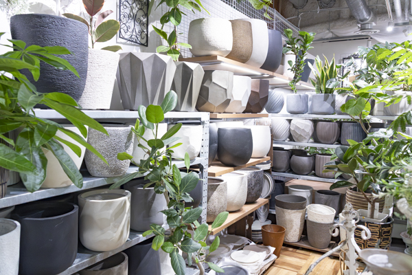 観葉植物と一緒に、さまざまな色や形の植木鉢が並ぶ店内ディスプレイ