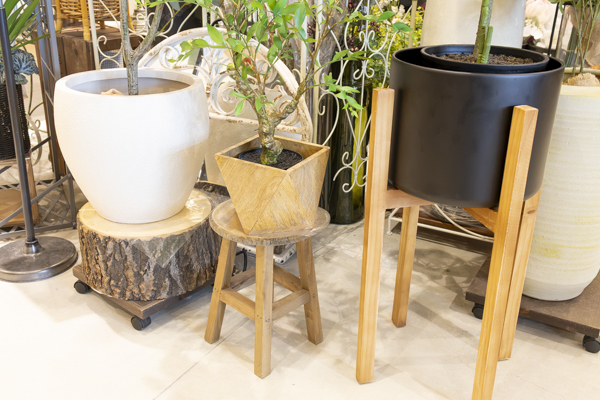 観葉植物を植木鉢や木製花台、プランツキャリーと組み合わせた店内ディスプレイ
