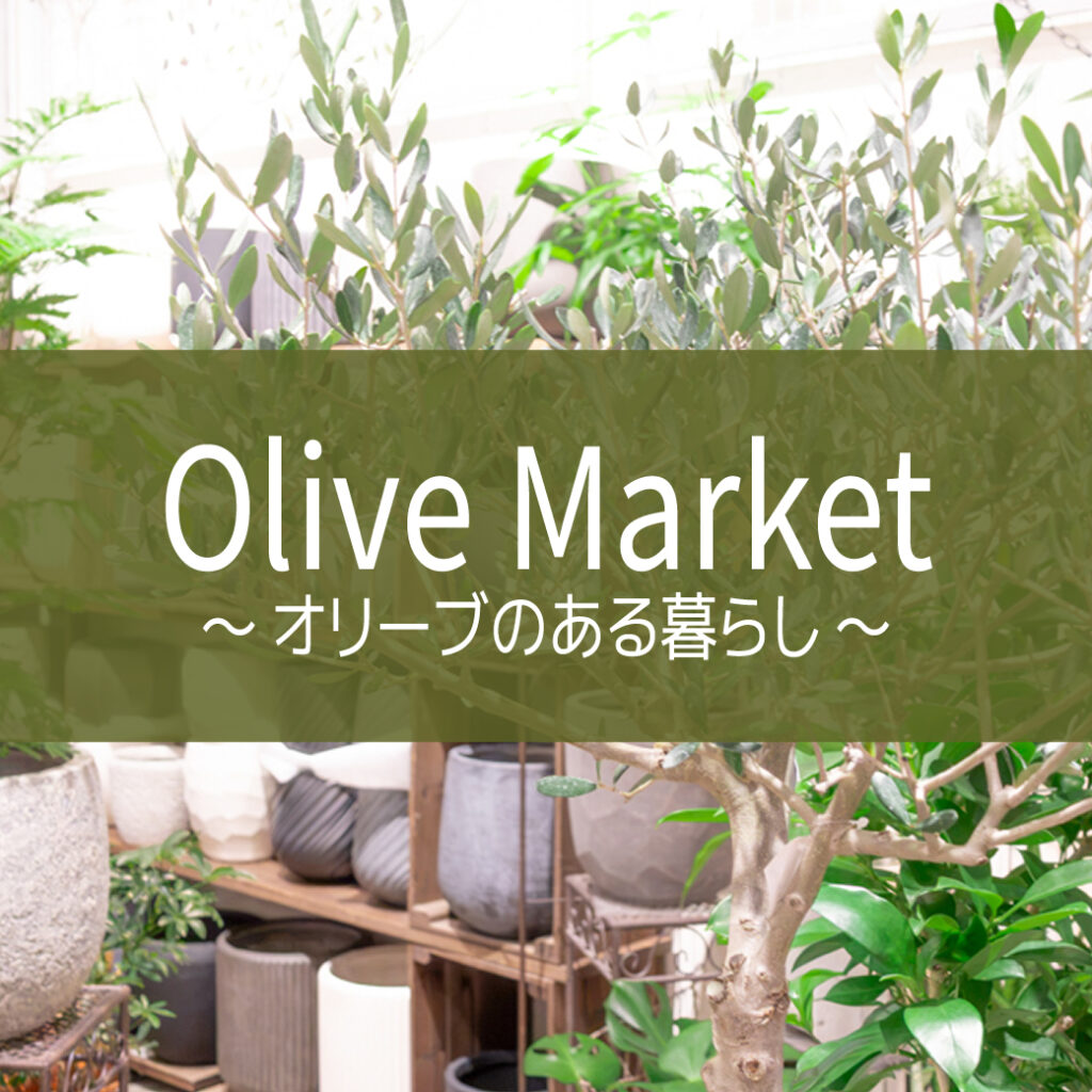 【NEWS】OLIVE MARKET ～オリーブのある暮らし～〈直営店共通〉