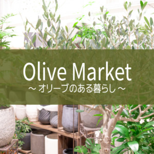 【NEWS】OLIVE MARKET ～オリーブのある暮らし～〈直営店共通〉