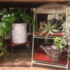 ニューフェイス〈西宮店〉