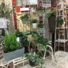 白の花台シリーズ〈なんば店〉