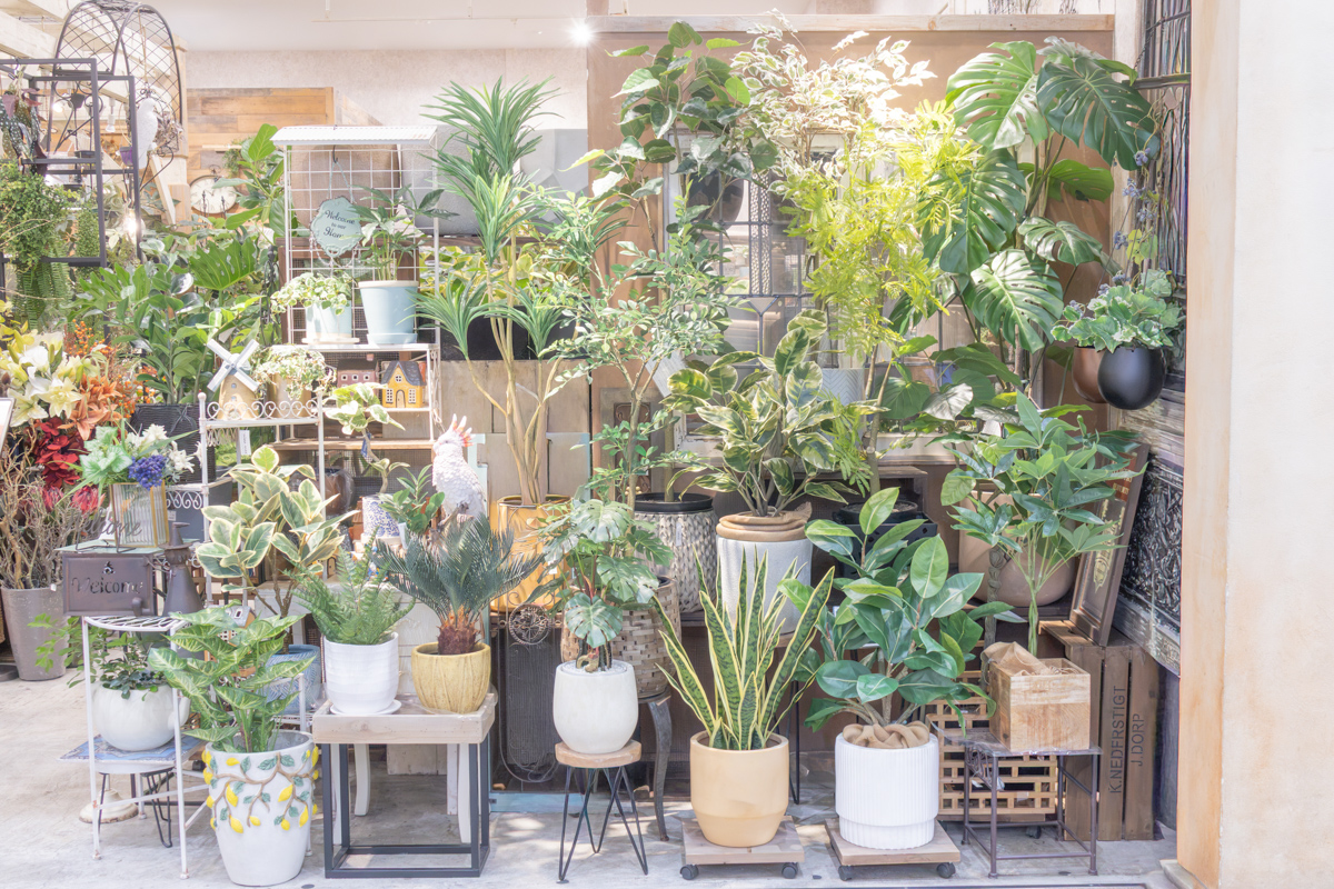 大型フェイクグリーンや観葉植物をコーディネートした店内ディスプレイ