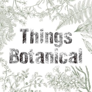 【出店情報】Things Botanical ～ビンテージ雑貨とグリーンのあるくらし～