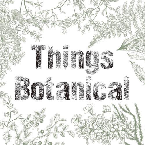 【出店情報】Things Botanical ～ビンテージ雑貨とグリーンのあるくらし～