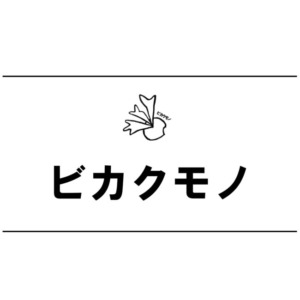 【NEWS】ビカクモノさんがご来店されます！〈みのお店〉