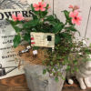 【8月ワークショップ】Autumn my garden〈なんば店〉
