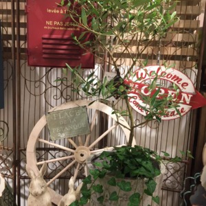 オリーブの木〈京都マルイ店〉