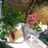 ホウロウの新商品で秋の模様替え〈西宮店〉