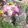 新作の花瓶でお部屋を可愛く☆〈西宮店〉