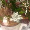 【11月ワークショップ】Christmasの寄せ植え〜ジングルベル〜〈西宮店〉
