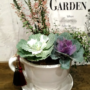 【12月ワークショップ】ラッキー New Year Garden〈京都桂川店・京都ﾏﾙｲ店〉