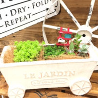 【７月ワークショップ】Summer Green garden〈京都桂川店〉