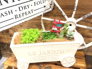 【７月ワークショップ】Summer Green garden〈京都桂川店〉