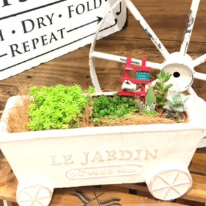 【７月ワークショップ】Summer Green garden〈京都桂川店〉