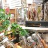 ハーバリウムの世界を楽しみましょう〈なんば店〉