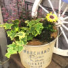 【3月ワークショップ】Welcome spring flower〈京都桂川店・京都マルイ店〉