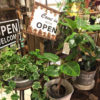 これからの季節にぴったりのグリーン〈京都マルイ店〉
