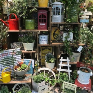 【NEWS】Gardening☆Collection 〈みどり4店共通〉