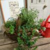 【4月ワークショップ】 Spring Herb Basket〈なんば店〉