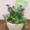 【5月ワークショップ】初夏のFlower garden〈京都桂川店〉